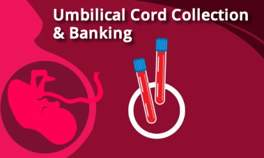 Umbilical Cord Blood Collection & Banking (774)