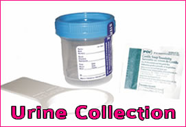 Urine Collection Methods: A Basic Review (786)