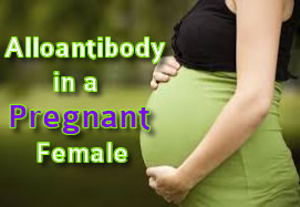 CASE STUDY: Alloantibody Causing Blood Type Conflict in Pregnant Female (823)