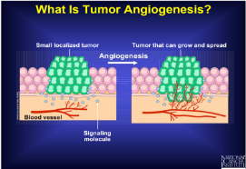 Understanding Angiogenesis (827)