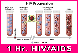 1 Hour HIV-AIDS Review (844)