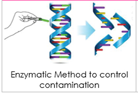 Regulatory Concern of PCR Carryover Contamination (853)