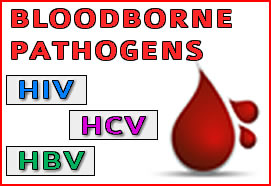 BBP SERIES: Basic Review of the Pathogens (864)