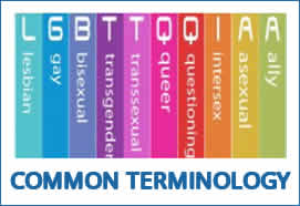 Gender and LGBTQ+ Terminology Review (953)